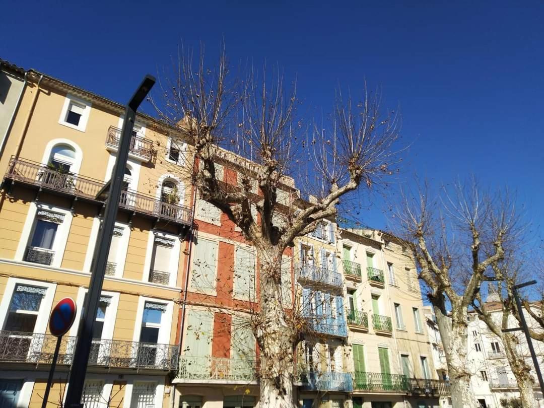 Entre Ville Et Canal, Calme Et Central - Gare A 700 M Narbonne Ngoại thất bức ảnh